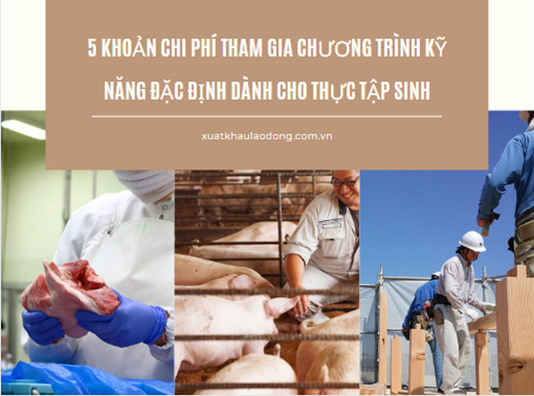 5 KHOẢN CHI PHÍ tham gia chương trình kỹ năng đặc định dành cho thực tập sinh